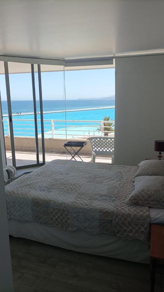 圣安东尼奥San Alfonso Del Mar Goleta 307公寓 外观 照片